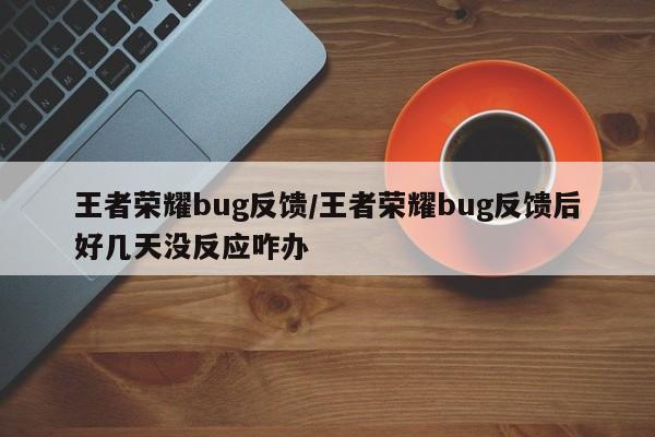王者荣耀bug反馈/王者荣耀bug反馈后好几天没反应咋办