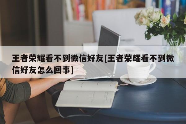 王者荣耀看不到微信好友[王者荣耀看不到微信好友怎么回事]