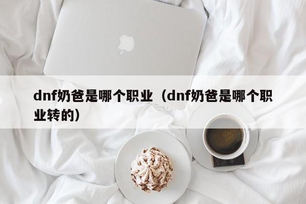 dnf奶爸是哪个职业（dnf奶爸是哪个职业转的）