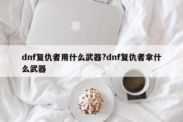 dnf复仇者用什么武器?dnf复仇者拿什么武器