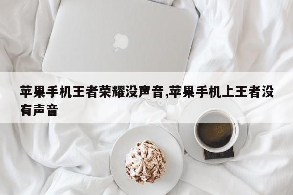 苹果手机王者荣耀没声音,苹果手机上王者没有声音