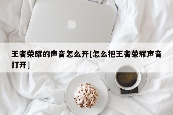 王者荣耀的声音怎么开[怎么把王者荣耀声音打开]