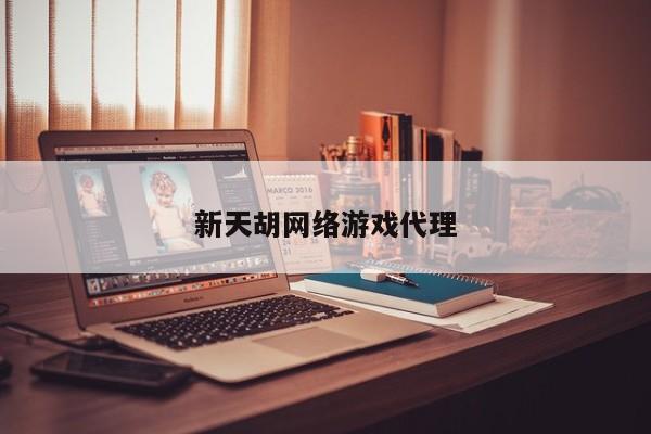 新天胡网络游戏代理