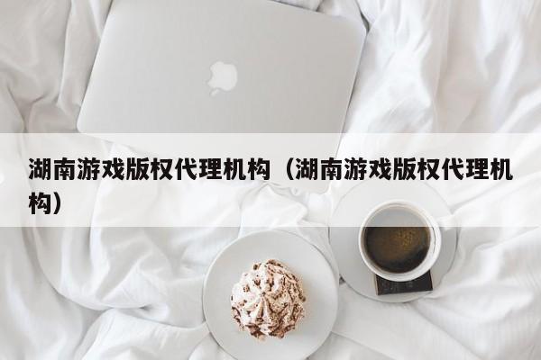 湖南游戏版权代理机构（湖南游戏版权代理机构）