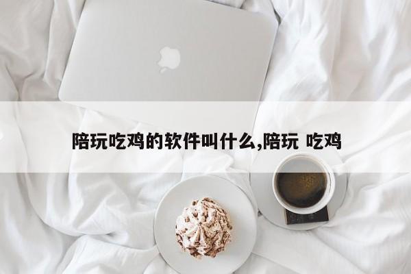 陪玩吃鸡的软件叫什么,陪玩 吃鸡