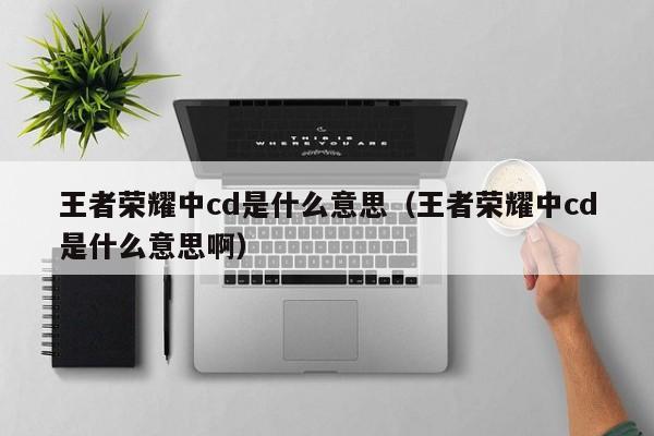王者荣耀中cd是什么意思（王者荣耀中cd是什么意思啊）