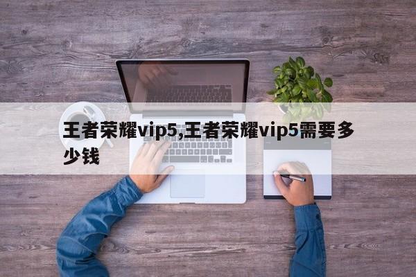王者荣耀vip5,王者荣耀vip5需要多少钱