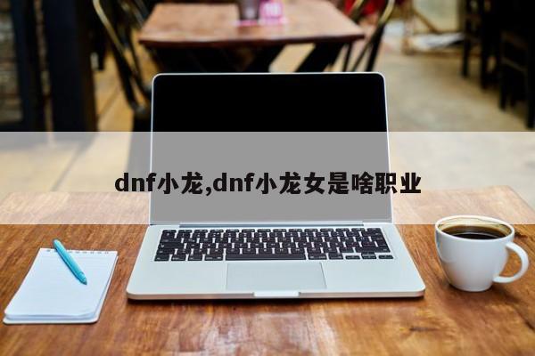 dnf小龙,dnf小龙女是啥职业