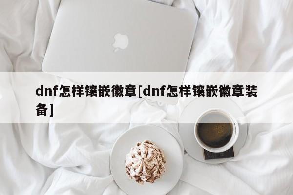 dnf怎样镶嵌徽章[dnf怎样镶嵌徽章装备]