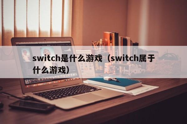 switch是什么游戏(switch属于什么游戏)