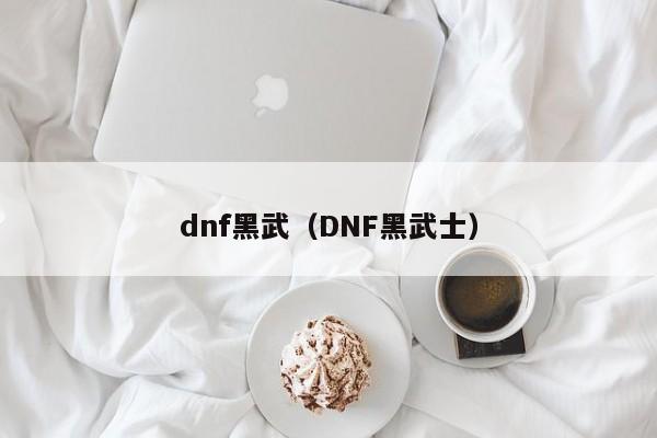 dnf黑武（DNF黑武士）