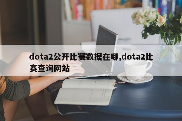 dota2公开比赛数据在哪,dota2比赛查询网站