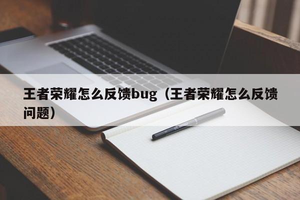 王者荣耀怎么反馈bug（王者荣耀怎么反馈问题）